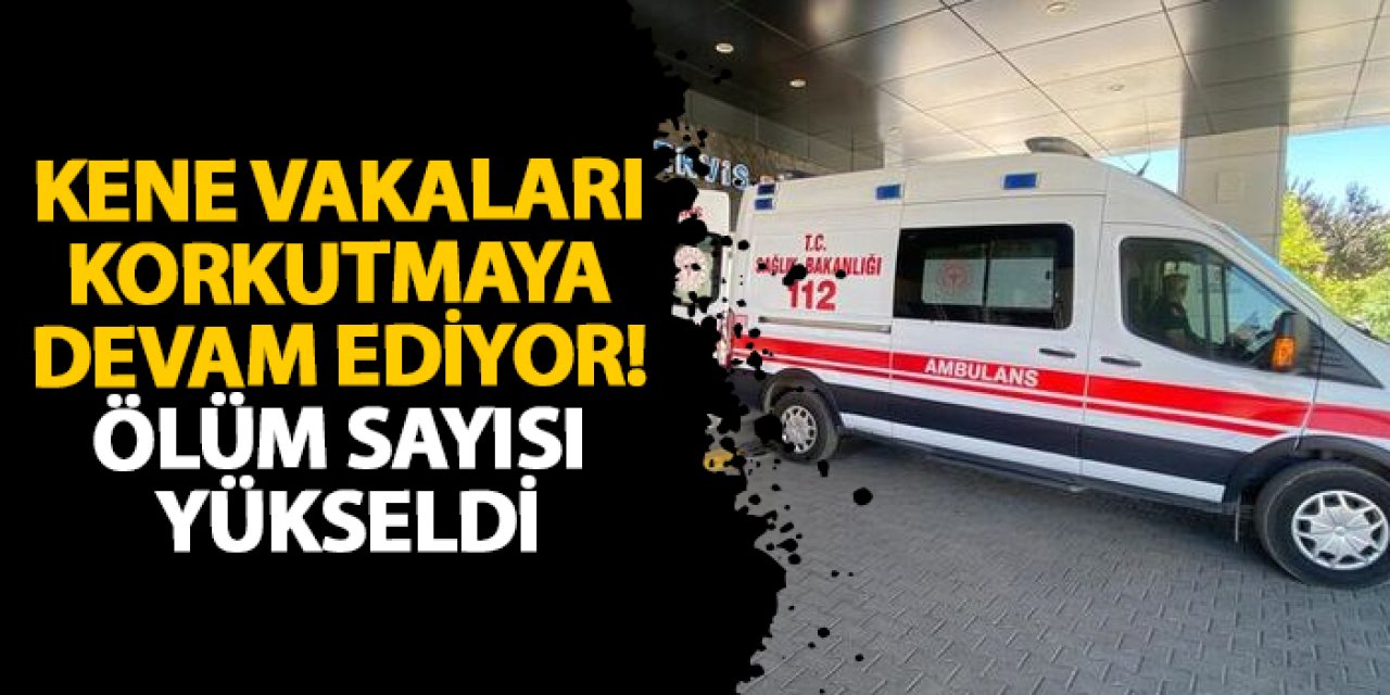 Kene vakaları korkutmaya devam ediyor! Ölüm sayısı yükseldi