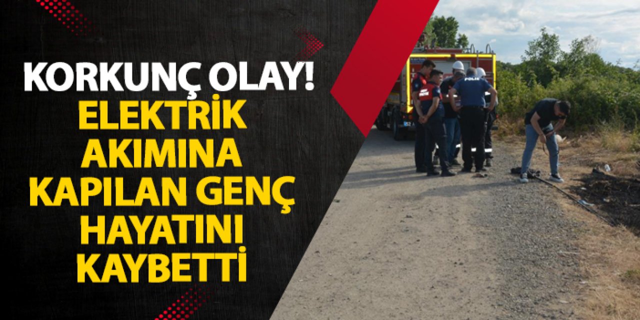 Ordu’da korkunç olay! Elektrik akımına kapılan genç hayatını kaybetti