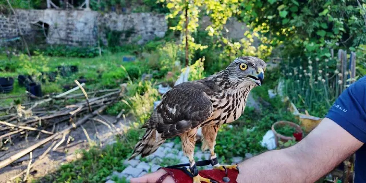 Dededen toruna bir miras: 5 bine yakın kişi ilgileniyor