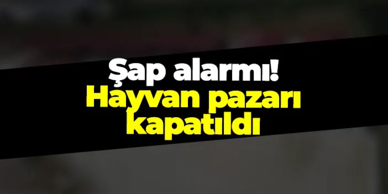 Samsun Havza’da şap alarmı: Hayvan pazarı geçici olarak kapatıldı