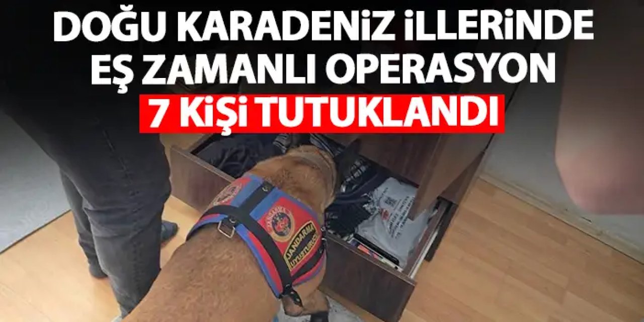 Doğu Karadeniz illerinde eş zamanlı uyuşturucu operasyonu! 7 kişi tutuklandı