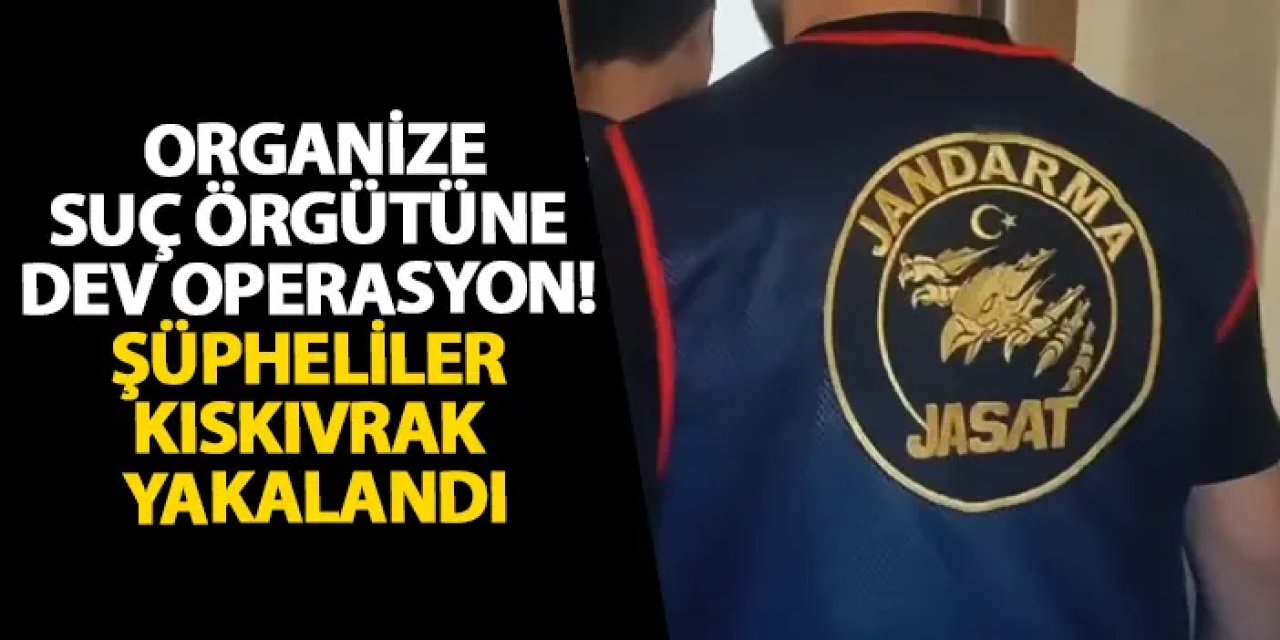 Organize suç örgütüne dev operasyon! Şüpheliler kıskıvrak yakalandı