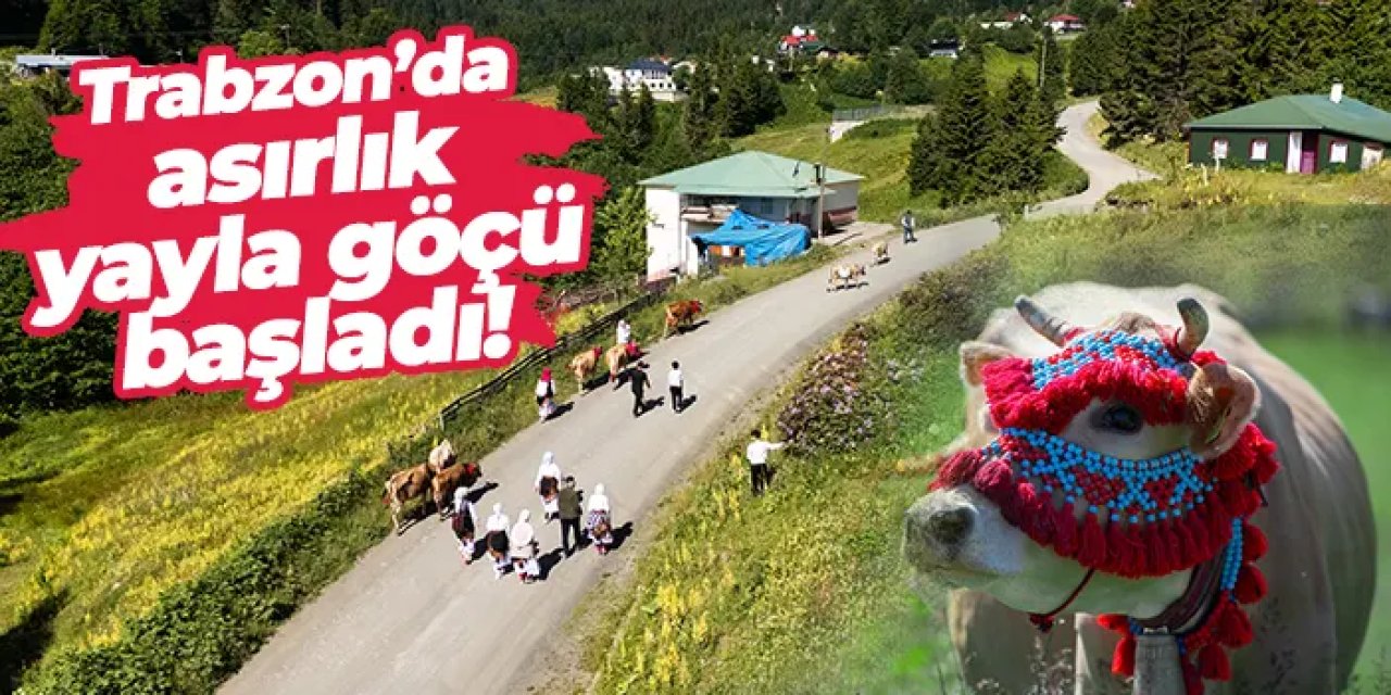 Trabzon’da asırlık yayla göçü başladı!