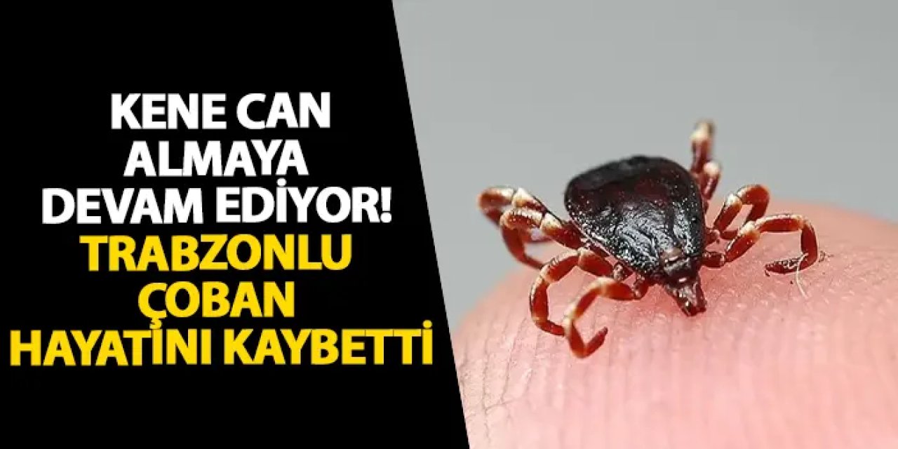 Kene can almaya devam ediyor! Trabzonlu çoban hayatını kaybetti