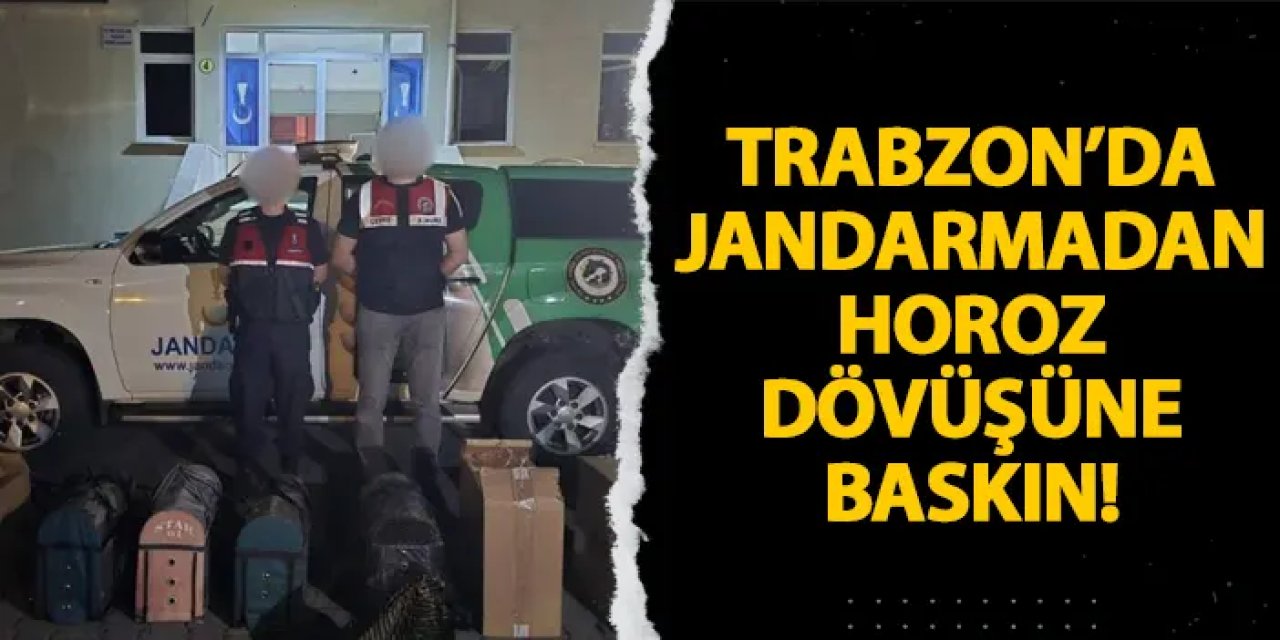 Trabzon’da jandarmadan horoz dövüşüne baskın!