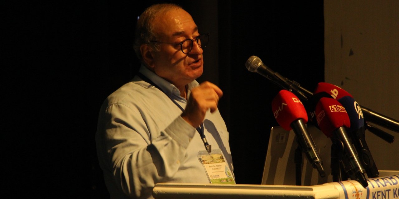 Türk fındığının büyük özelliği ortaya çıktı! ozon gazı için en iyi ağaç