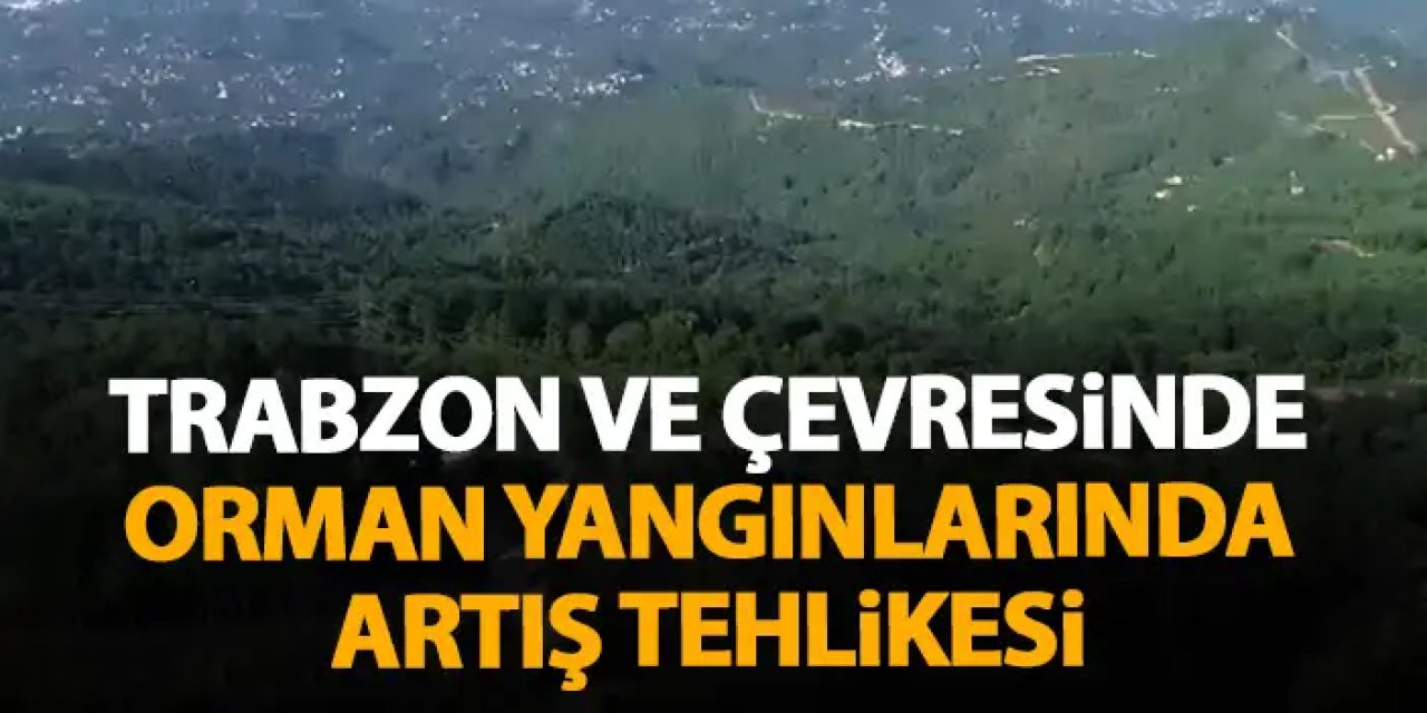 Trabzon ve çevresinde kuraklığa bağlı orman yangınlarında 'artış' tehlikesi