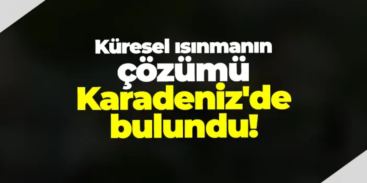 Küresel ısınmanın çözümü Karadeniz'de bulundu!