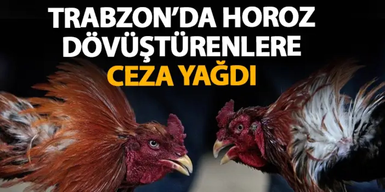 Trabzon'da horoz dövüştürenlere ceza yağdı!