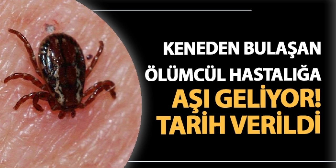 Keneden bulaşan ölümcül hastalığa aşı geliyor! Tarih verildi