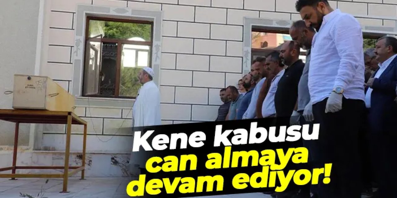 Kene kabusu can almaya devam ediyor!