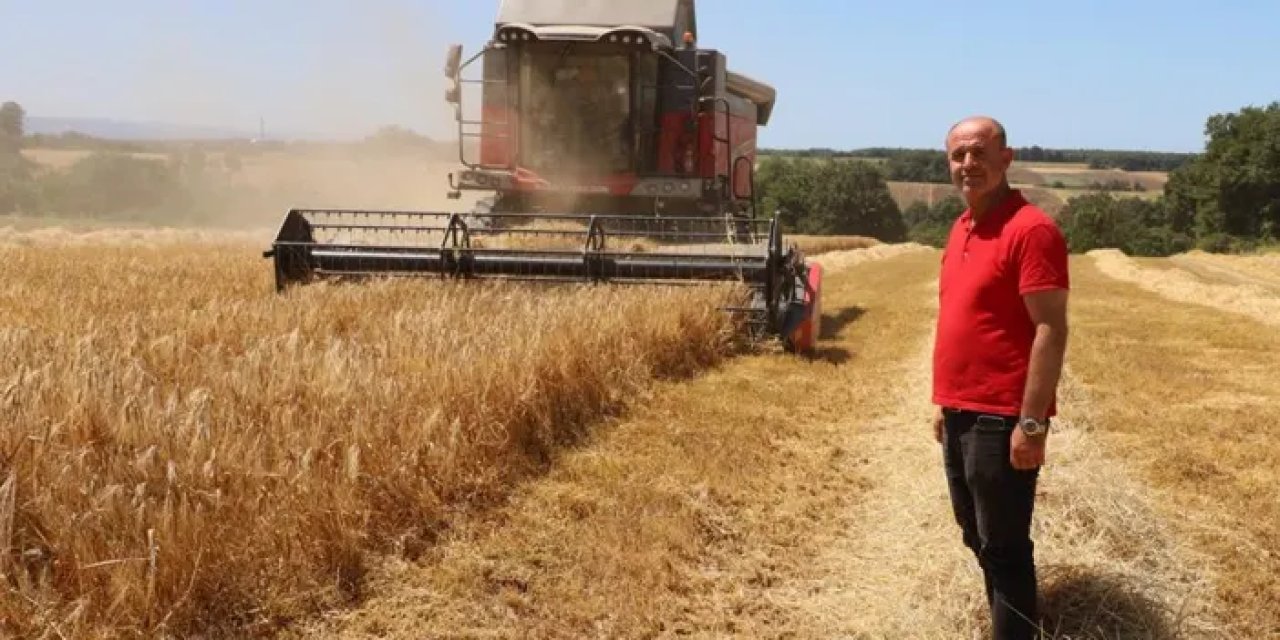 Samsun Bafra Ovası’nda hasat başladı!