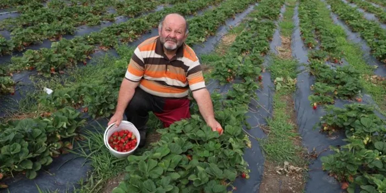 Samsun’da gezen tavuk ile başlayan üretim serüveni büyüdü