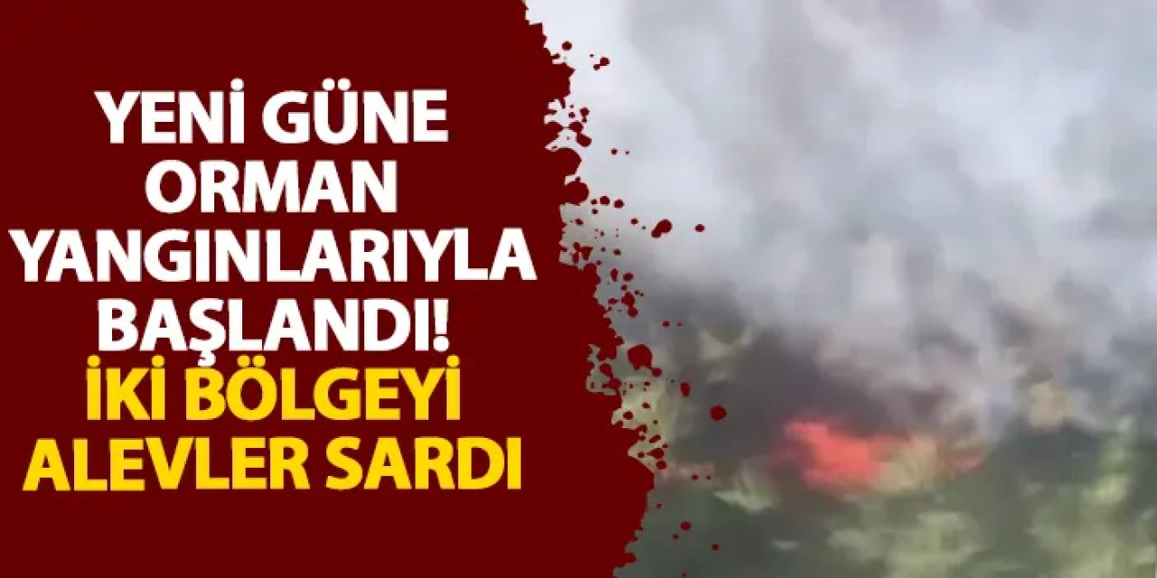 Antalya yeni güne orman yangınlarıyla başlandı! İki bölgeyi alevler sardı