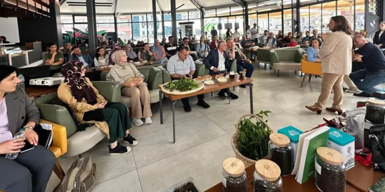 Rize’de çay masaya yatırıldı! “Çalışmaları anlatacağız”