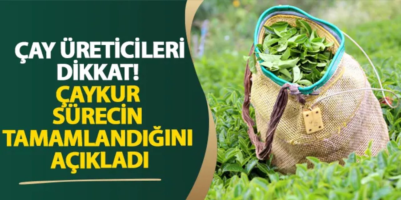 Çay üreticileri dikkat! ÇAYKUR sürecin tamamlandığını açıkladı