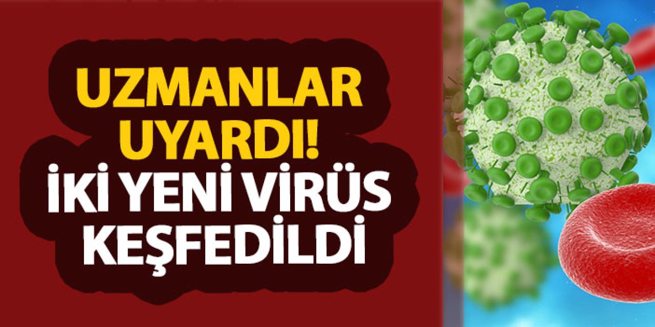 Uzmanlar uyardı! İki yeni virüs keşfedildi
