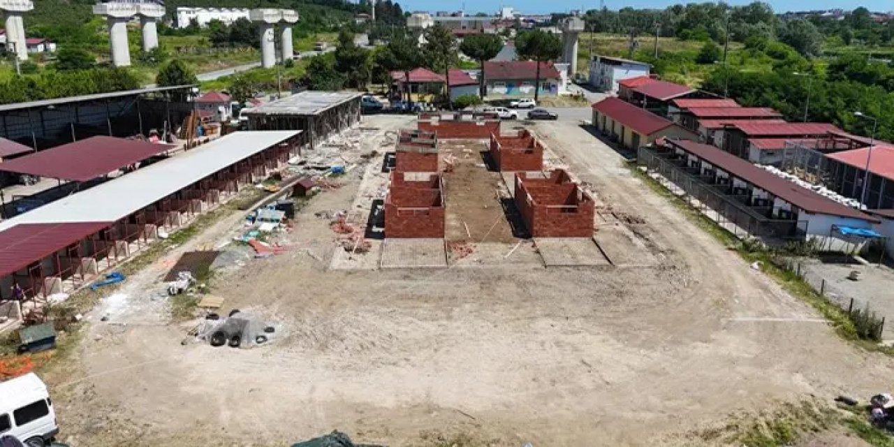 Ordu'da sokak hayvanları için alttan ısıtmalı 800 kulübeli barınak!