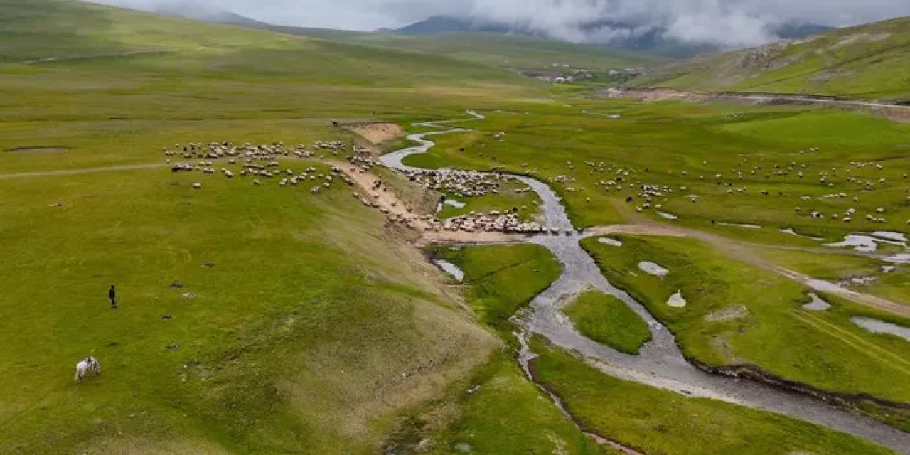 Gümüşhane yaylalarında karların erimesiyle görsel şölen oluştu