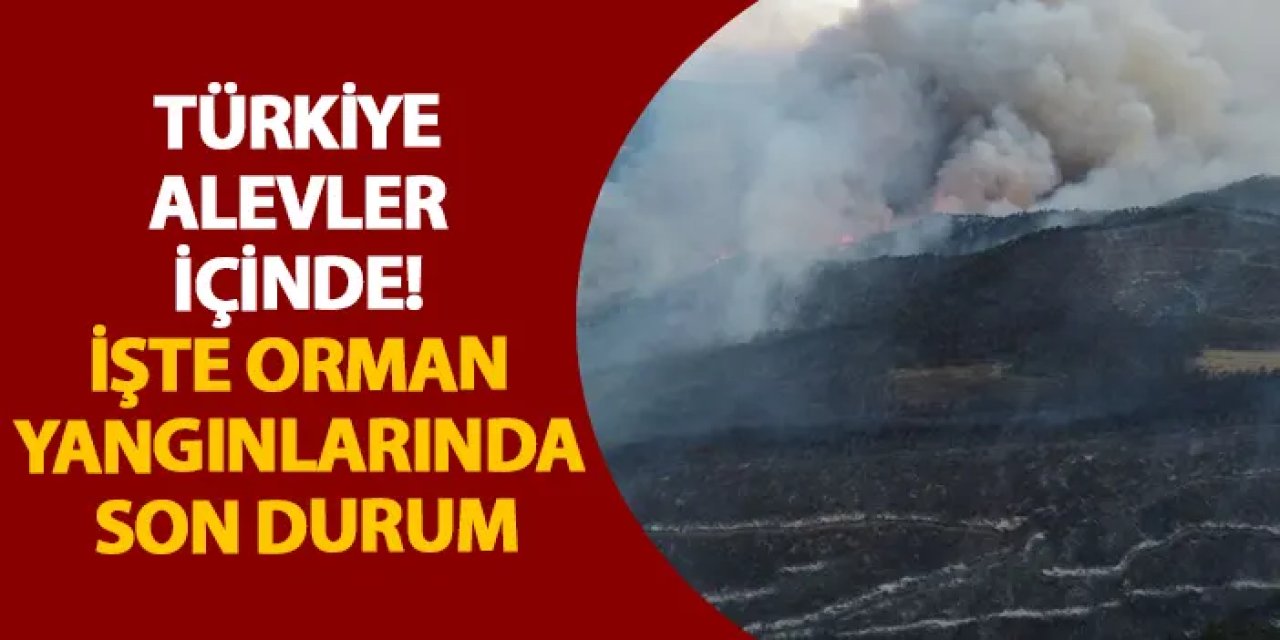 Türkiye alevler içinde! İşte orman yangınlarında son durum