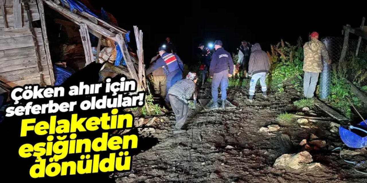Artvin'de çöken ahır için seferber oldular! 33 büyükbaş hayvan...