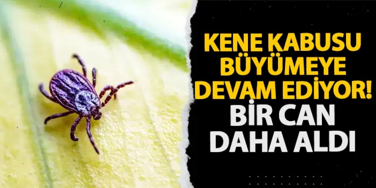Kene kabusu büyümeye devam ediyor! Bir can daha aldı