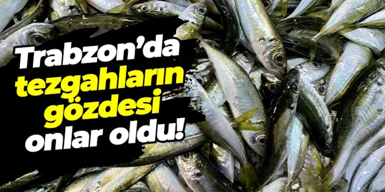 Trabzon’da tezgahların gözdesi istavrit ve mezgit oldu!