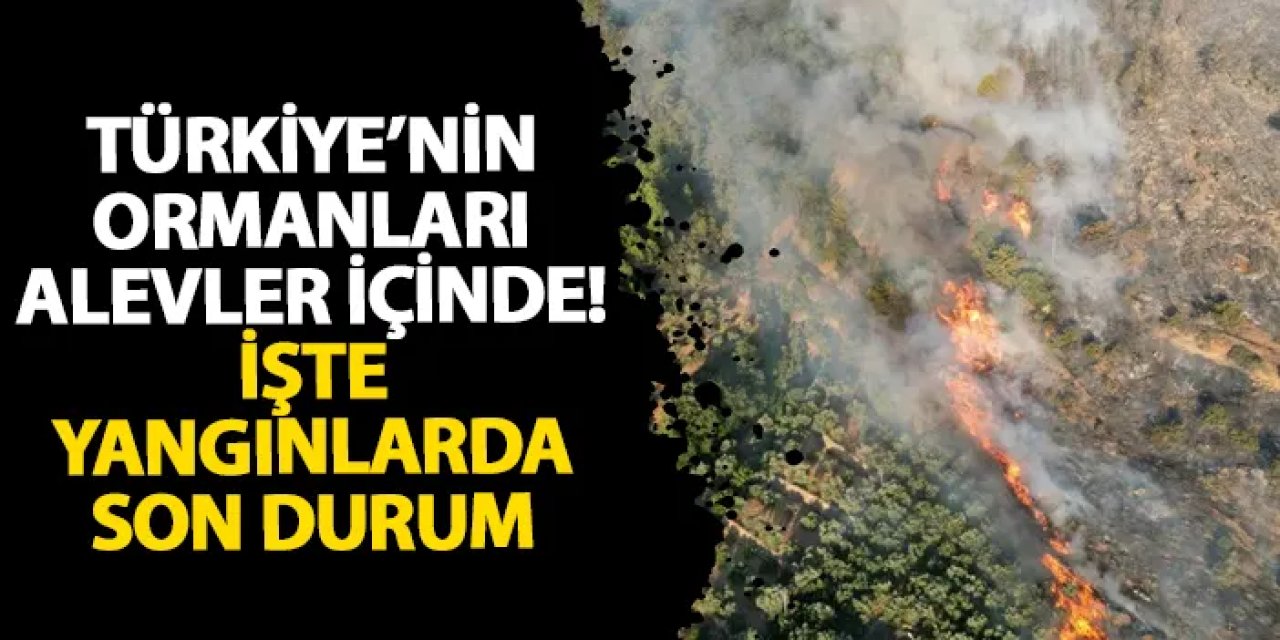Türkiye’nin ormanları alevler içinde! İşte yangınlarda son durum