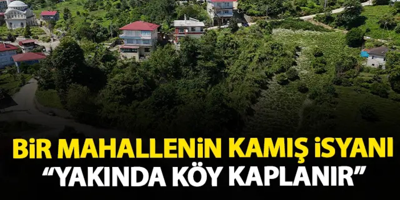 Mahalle sakininden kamış isyanı: "Bir kaç sene sonra köy kapanır"