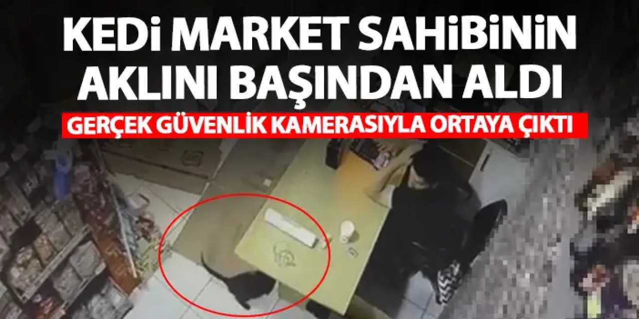 Kedi market sahibinin akılını aldı! Gerçek güvenlik kamerasıyla ortaya çıktı