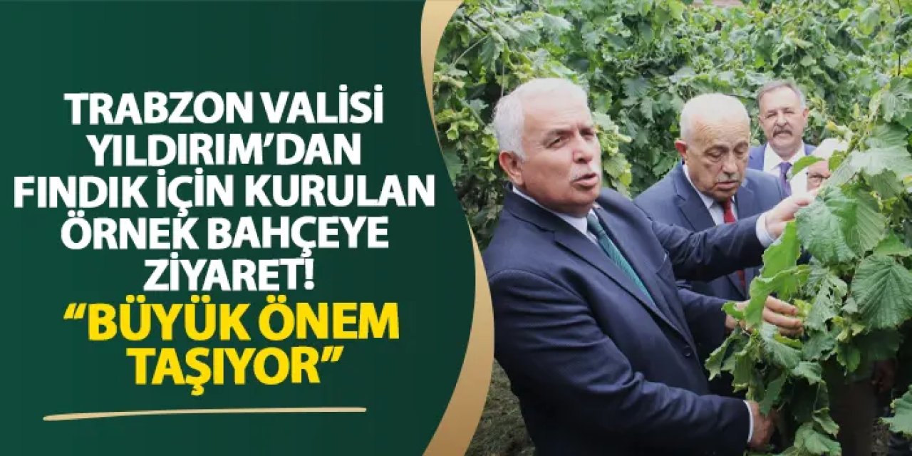 Trabzon Valisi Yıldırım’dan fındık için kurulan örnek bahçeye ziyaret! “Büyük önem taşıyor”