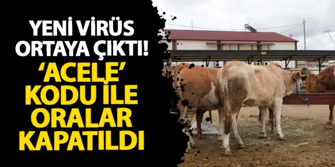 Yeni virüs ortaya çıktı! Acele kodu ile oralar kapatıldı