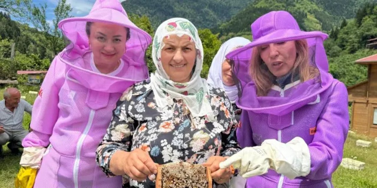 Artvin’de arıcılık turizm ile birleşti!