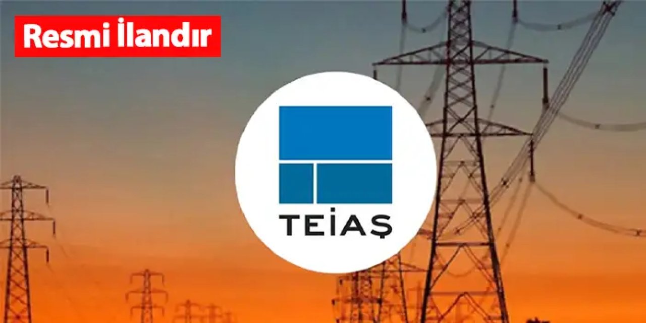 TEİAŞ Araç Üstü Teleskobik Bomlu Sepetli İş Platformu kiralayacak