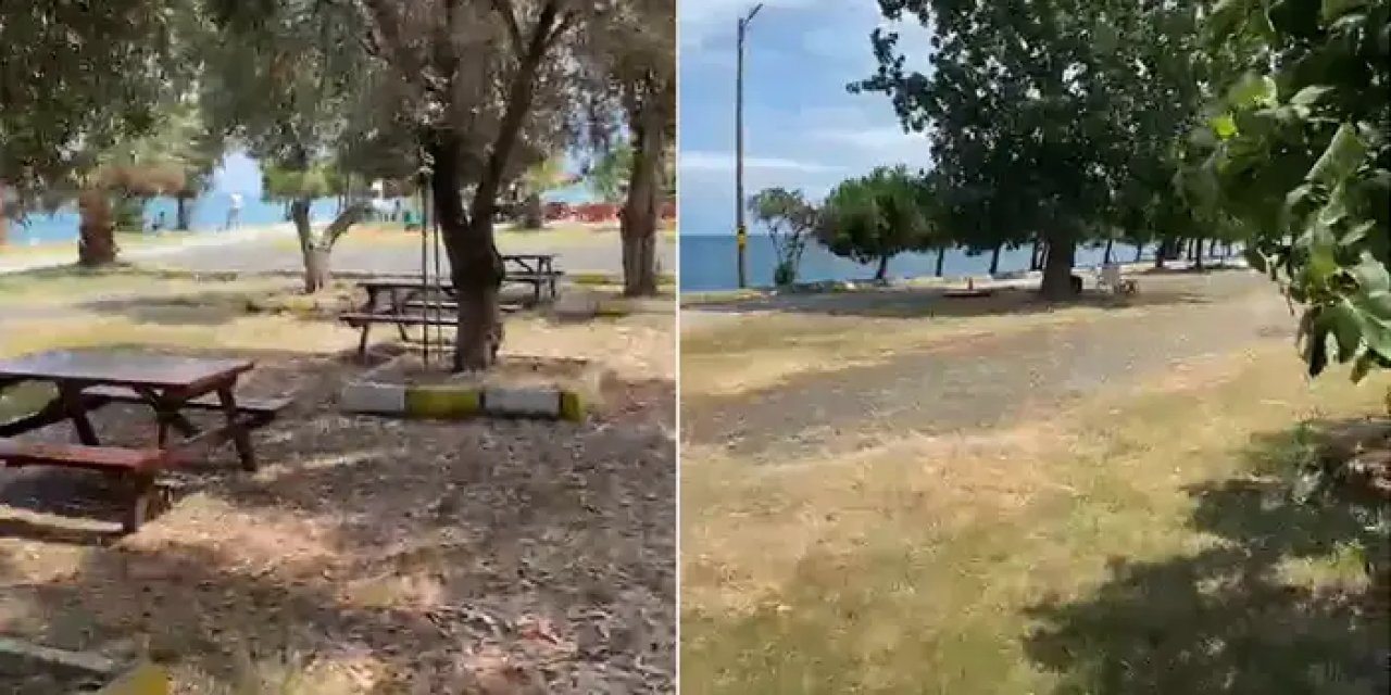 Trabzon’da Belediye Plajındaki düzenlemeler vatandaştan tam not aldı