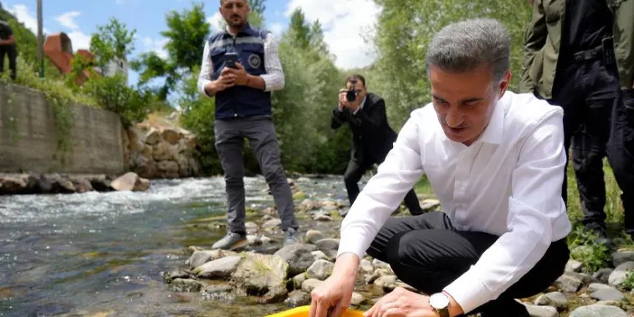 Gümüşhane’de 10 bin kırmızı benekli alabalık doğaya salındı!