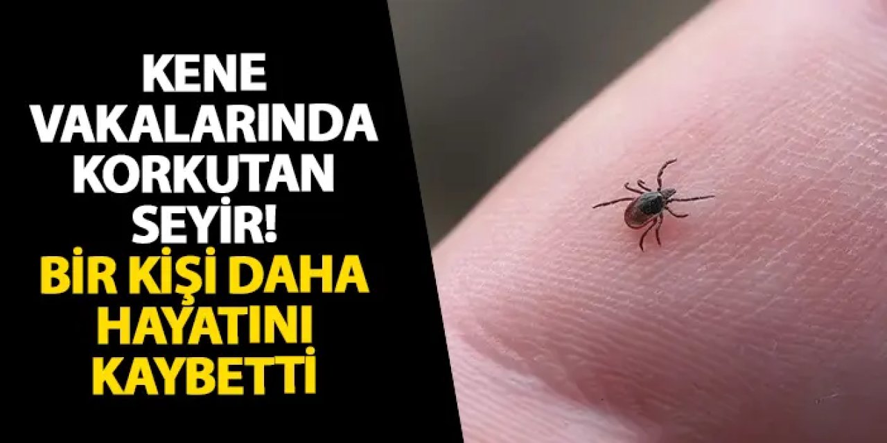 Kene vakalarında korkutan seyir! Bir kişi daha hayatını kaybetti