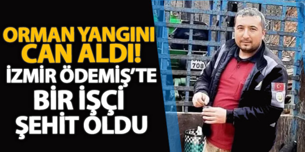 Orman yangını can aldı! İzmir Ödemiş’te bir işçi şehit oldu