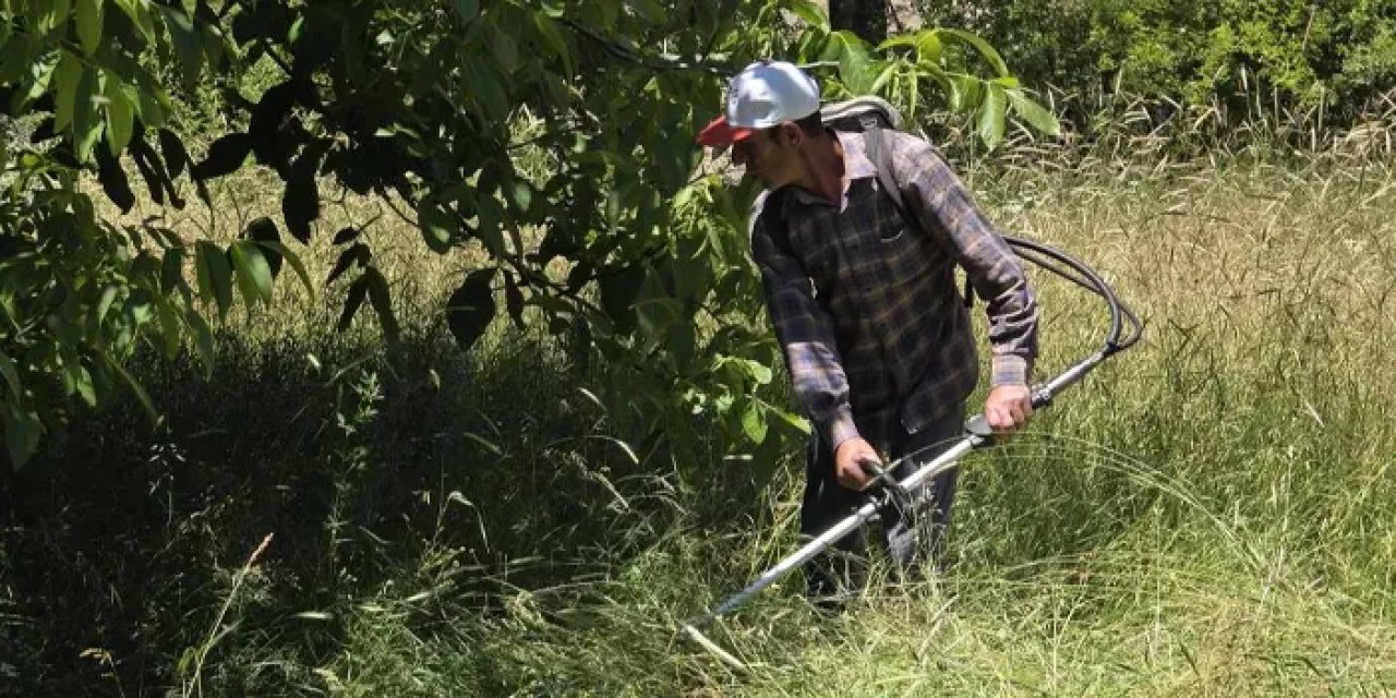 Gümüşhane’de gelenekler değişti! Tırpanlar müzelik oldu