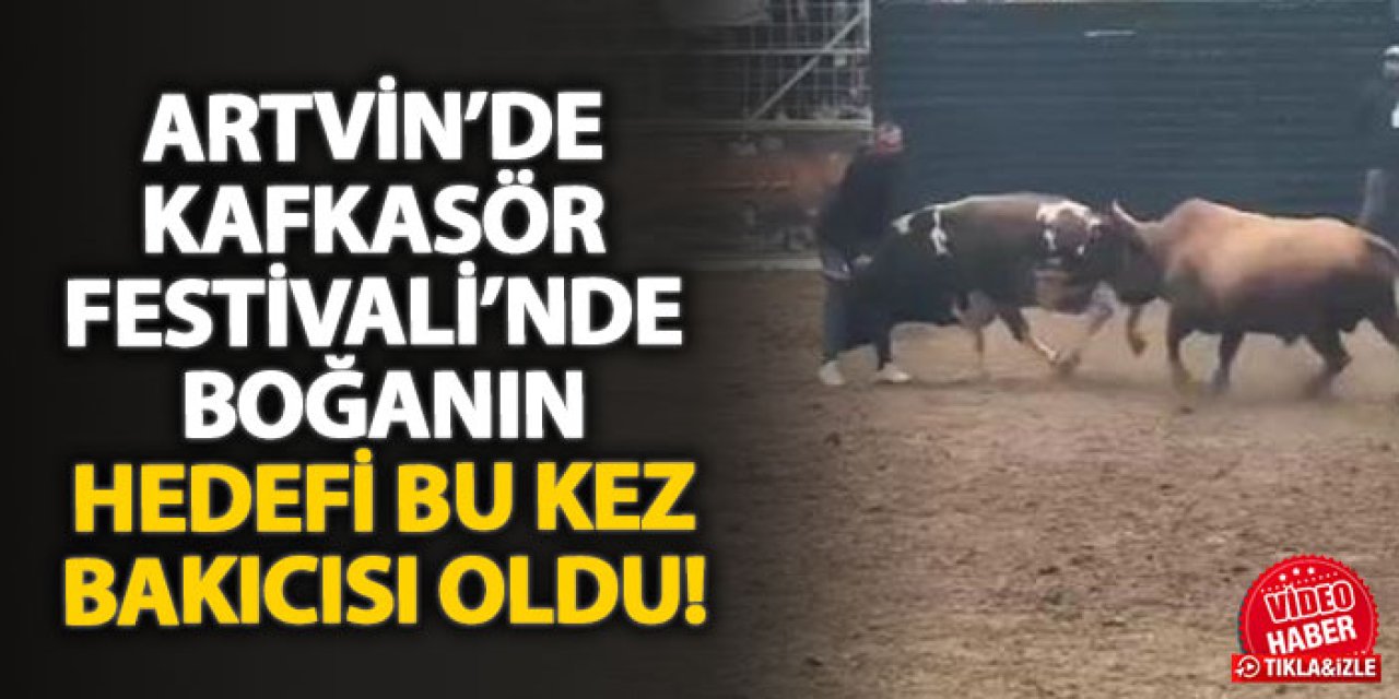 Artvin’de Kafkasör Festivali’nde boğanın hedefi bu kez bakıcısı oldu!