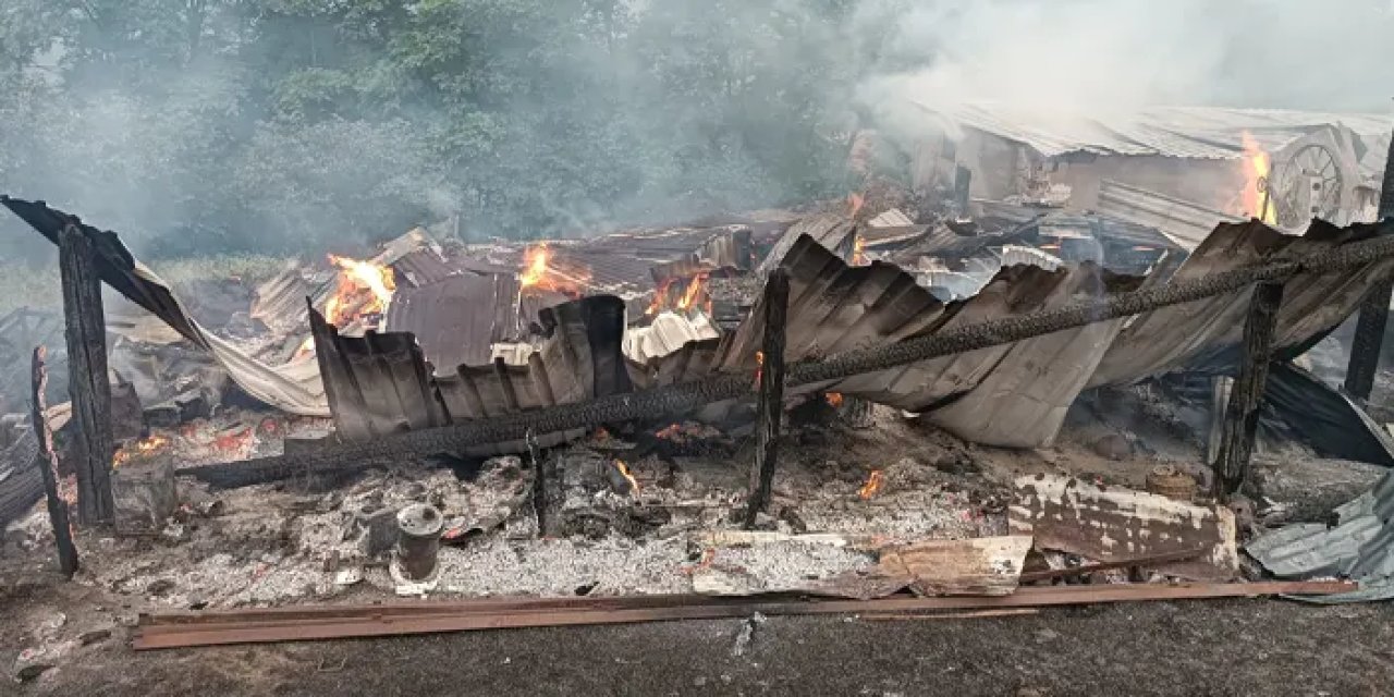 Samsun’da ev ve ahır alevlere teslim oldu! Bir koyun telef oldu