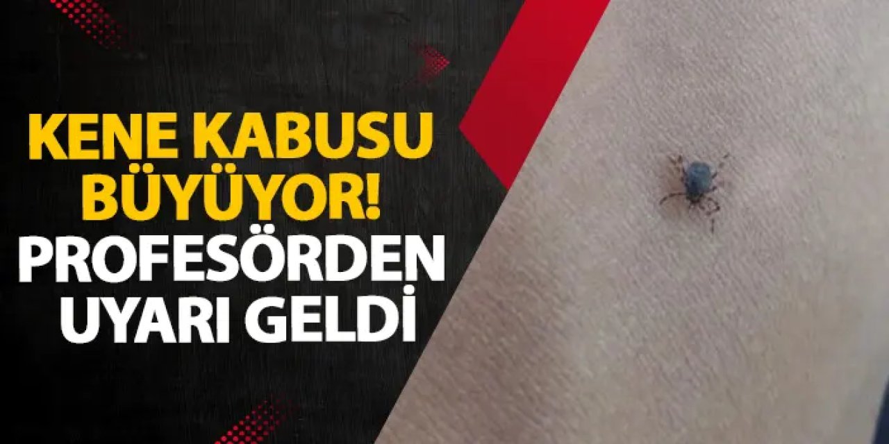 Kene kabusu büyüyor! Profesörden uyarı geldi