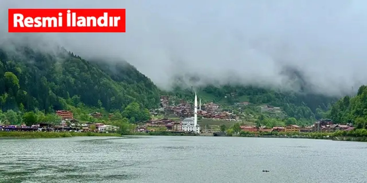 Uzungöl'de Biyoçeşitlilik Araştırma Projesi hizmet alımı yapılacak