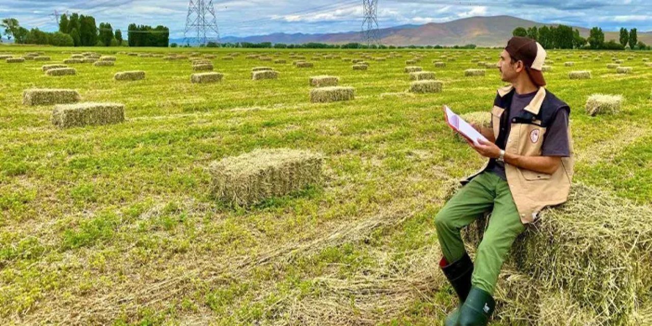 Bayburt’ta yem bitkileri için saha mesaisi!