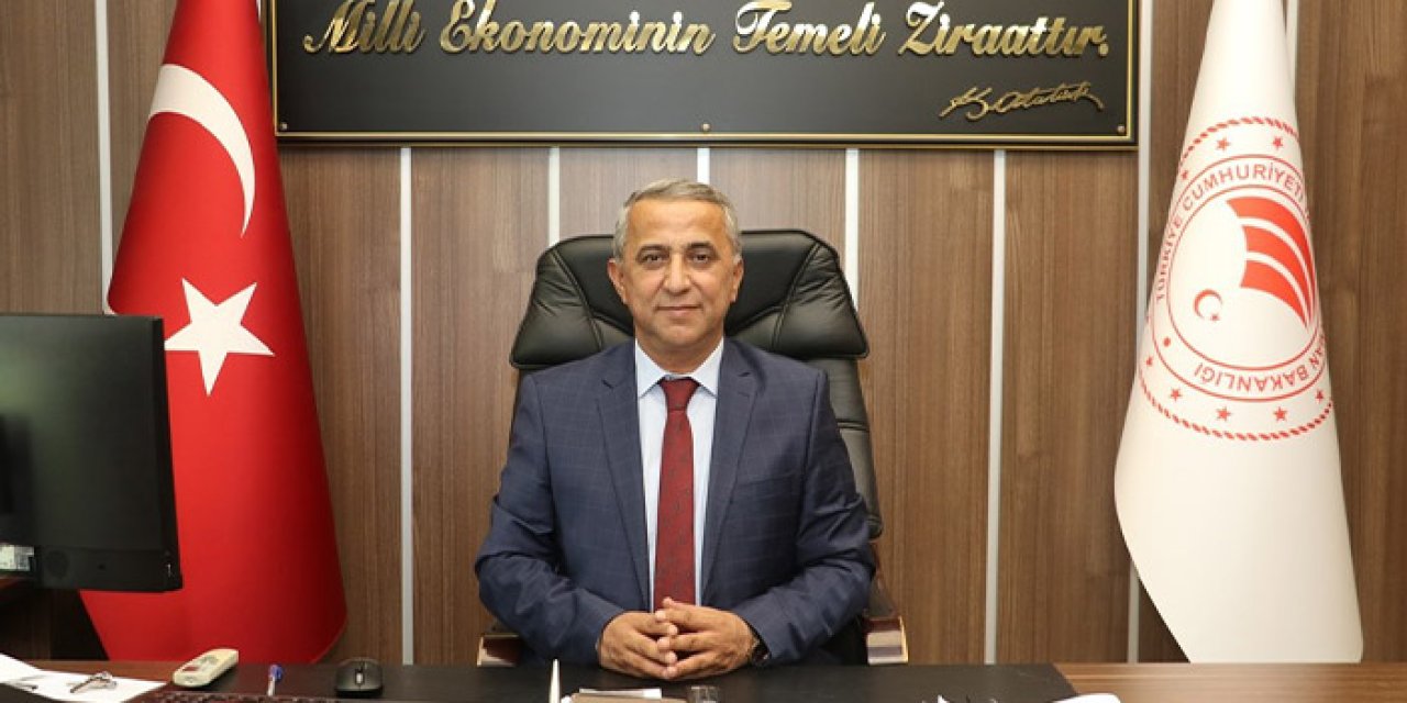 Samsun su ürünleri ihracatında rekor artışla öne çıkıyor