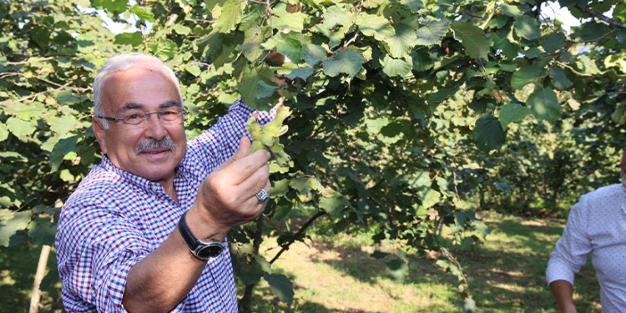 Ferrero'nun Türkiye'deki fındık faaliyetlerine yargı freni!