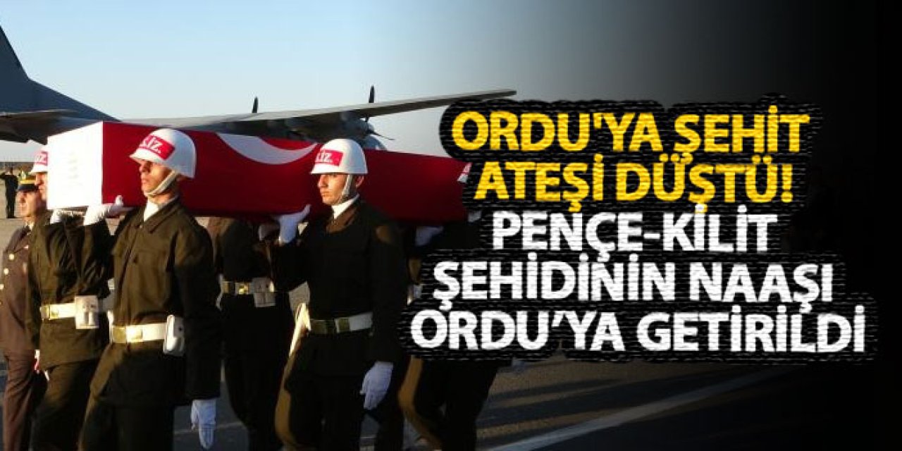 Ordu'ya şehit ateşi düştü! Pençe-Kilit şehidinin naaşı Ordu’ya getirildi