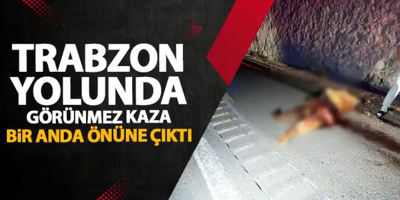 Trabzon yolunda görünmez kaza! Ayı bir anda önlerine çıktı