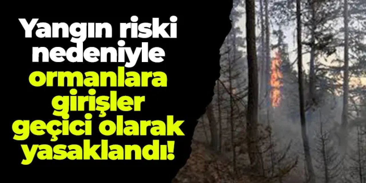 Gümüşhane'de yangın riski nedeniyle ormanlara girişler geçici olarak yasaklandı!