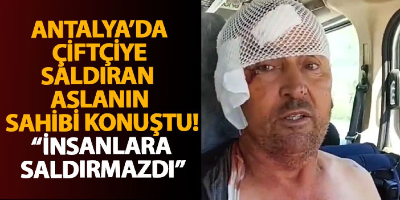 Antalya’da çiftçiye saldıran aslanın sahibi konuştu! “İnsanlara saldırmazdı”